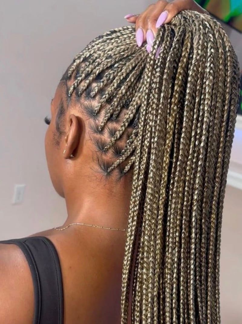 Askblonda knotless braids samlade i en hög hästsvans, sedda bakifrån
